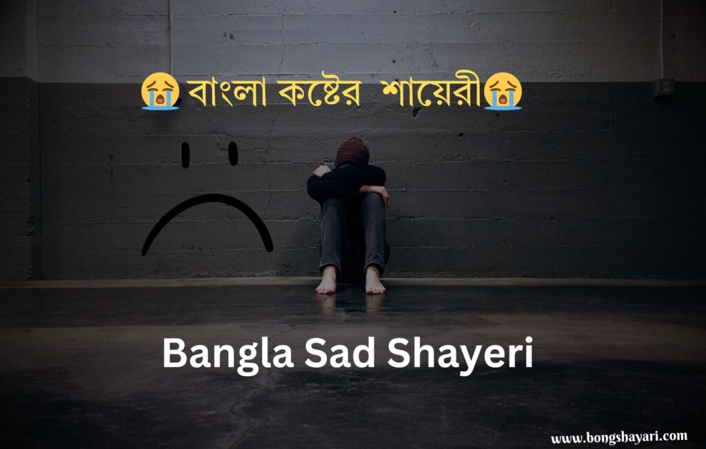 bengali sad shayari photo