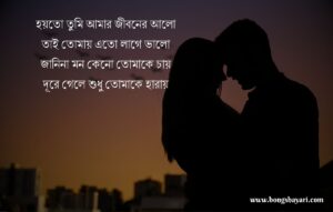 Bangla Love Status for Husband & Wife